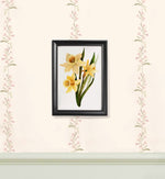 Load image into Gallery viewer, Rama neagră
