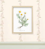 Load image into Gallery viewer, Ramă bej
