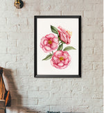 Load image into Gallery viewer, Camellia
