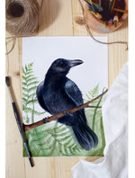 Load image into Gallery viewer, Corbul
