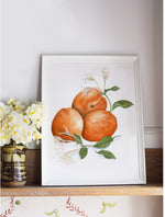 Load image into Gallery viewer, Aromele verii
