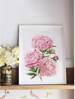 Load image into Gallery viewer, Bujori
