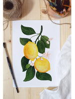 Load image into Gallery viewer, Lămâi
