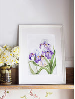 Load image into Gallery viewer, Purple Iris

