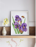 Load image into Gallery viewer, Iris garden
