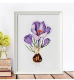 Load image into Gallery viewer, Crocuses
