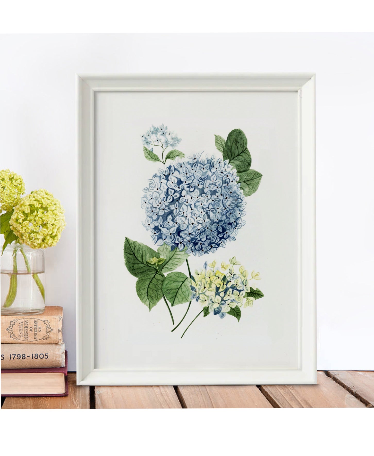 June hydrangea